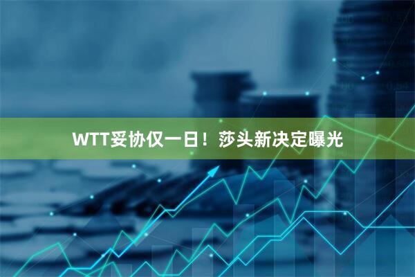 WTT妥协仅一日！莎头新决定曝光