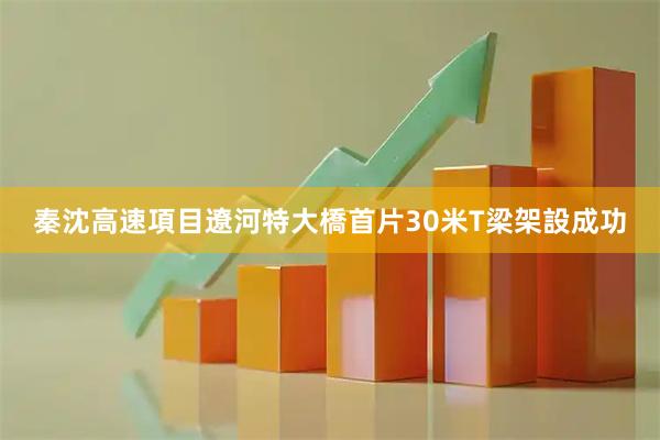 秦沈高速項目遼河特大橋首片30米T梁架設成功